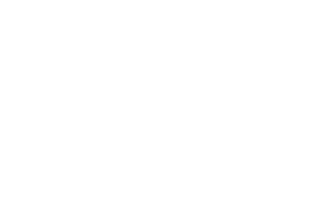 Jusos Gondelsheim